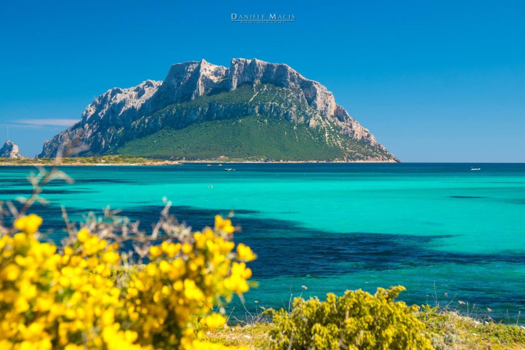 Dieses Bild hat ein leeres Alt-Attribut. Der Dateiname ist Porto-San-Paolo-Beach-Foto-Daniele-Macis-1024x683.jpg