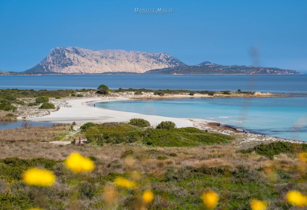 Dieses Bild hat ein leeres Alt-Attribut. Der Dateiname ist San-Teodoro-Foto-Daniele-Macis-1024x701.jpg