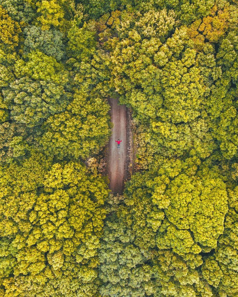 Dieses Bild hat ein leeres Alt-Attribut. Der Dateiname ist Sardischer-Wald-Foto-Enrico-Travels-in-Sardinia-819x1024.jpg