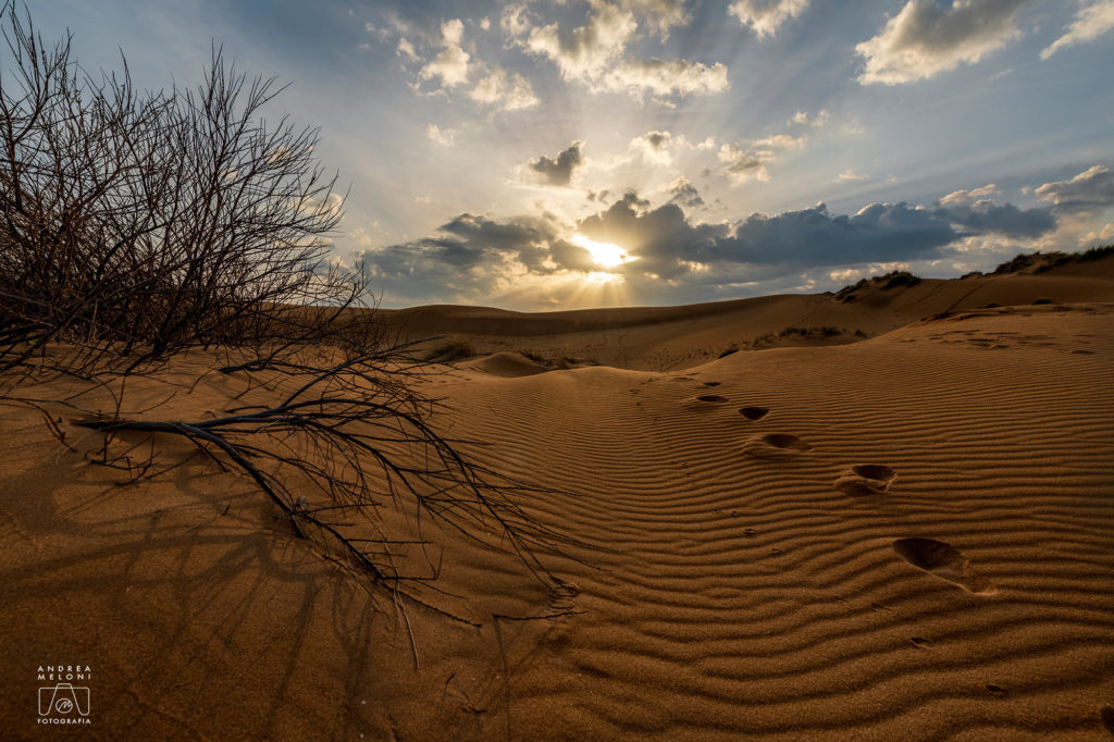 Dieses Bild hat ein leeres Alt-Attribut. Der Dateiname ist Torre-dei-Corsari-Costa-verde-Foto-Andrea-Meloni-1024x682.jpg