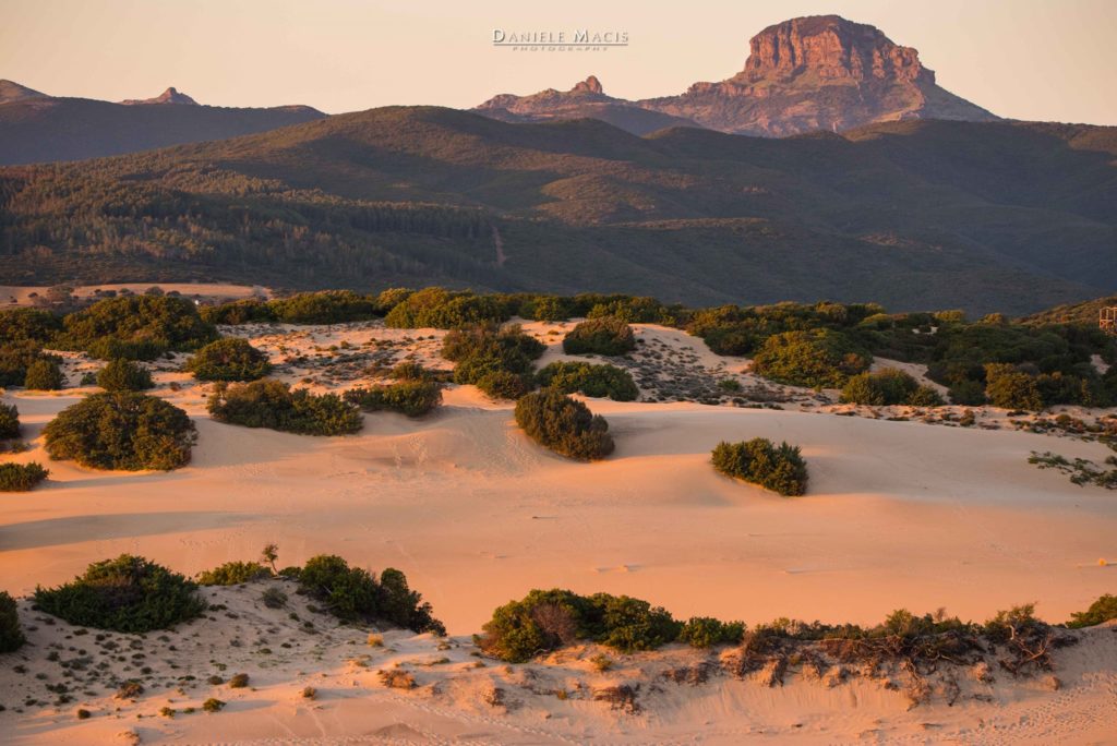 Dieses Bild hat ein leeres Alt-Attribut. Der Dateiname ist Dune-diPiscinas-Foto-Daniele-Macis-1024x684.jpg